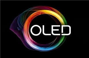 The sales revenue of this equipment factory is expected to double this year, as the 8.6 generation OLED line is expected to assist